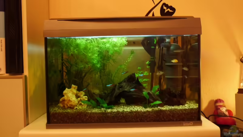 alte Einrichtung von LeAnn (2)