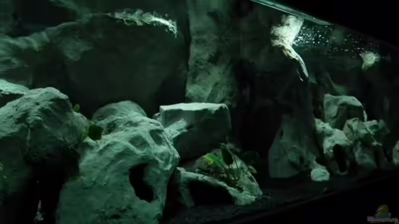 alte Einrichtung von rayskin (11)