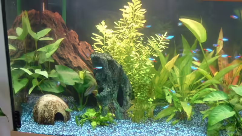 alte Einrichtung von Ute Dömelt (2)