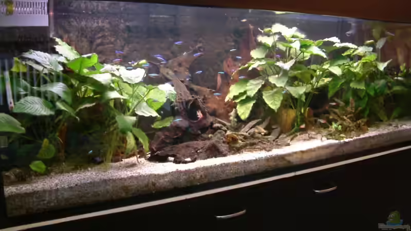 Alte Einrichtung vor dem 21.07.07 von Oliver Schürmann (6)