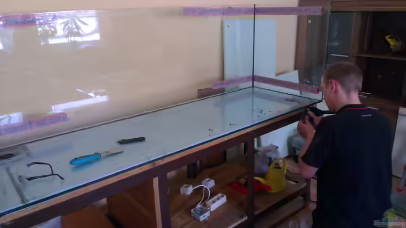 alte Frontscheibe abgetrennt, nun alte Silikonreste abgekratzt von Biffty (13)