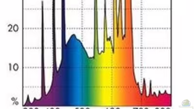 Alte Leuchte (entfernt) von Duder Malawikus (19)