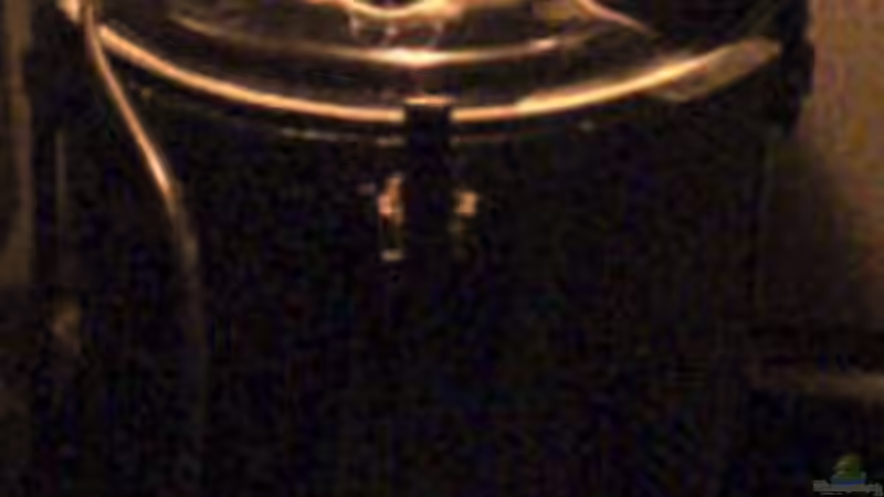 alter, dreckiger Außenfilter :) von Henning Meyer (5)