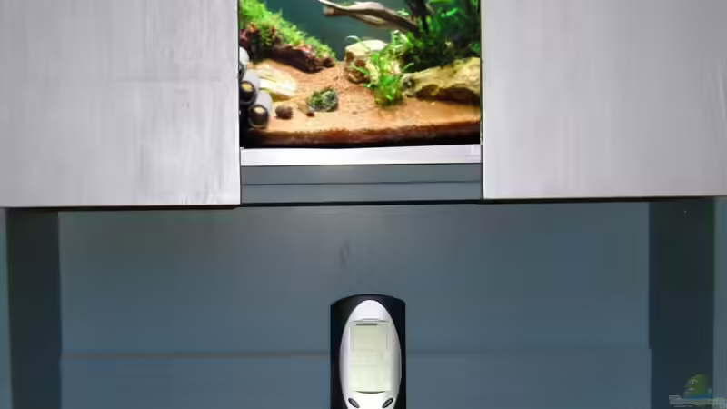 alter Ikeaschrank umgebaut mit Türen von Dario (2)