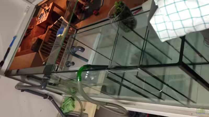 Alter Innenfilter von Tooooni (3)