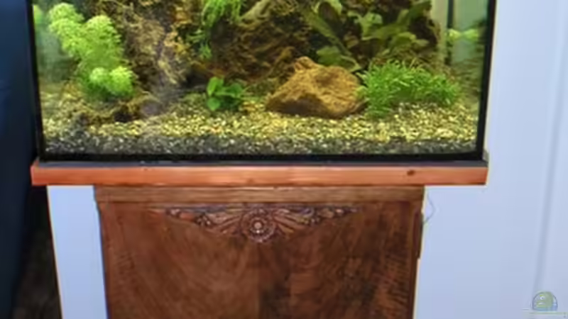 Alter Schrank neues Becken..... von Ralf Thomae (2)