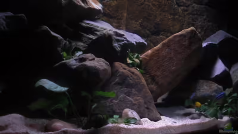 Alter Steinaufbau zu sehen, schräg Links von Kai Pragal (2)