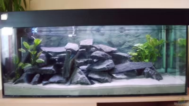 altes 160 L Becken von Andreas Odenweller (2)