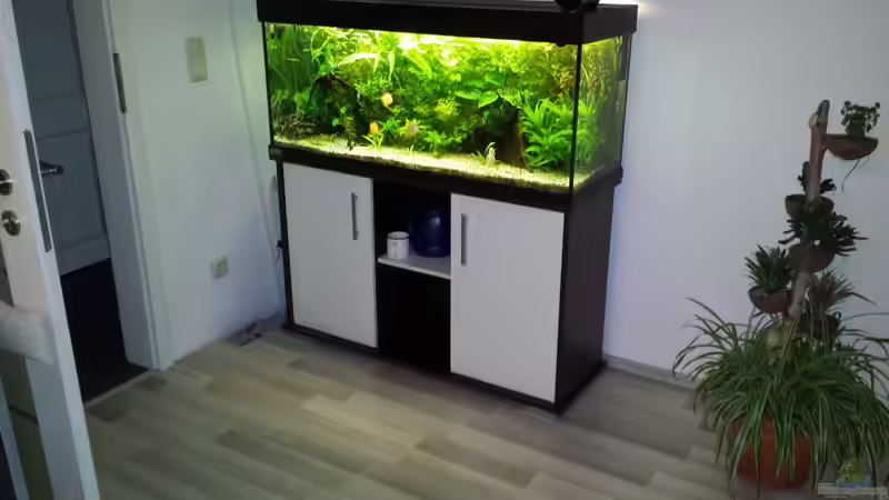 ´altes´ 240LEheim Becken von Martin (2)