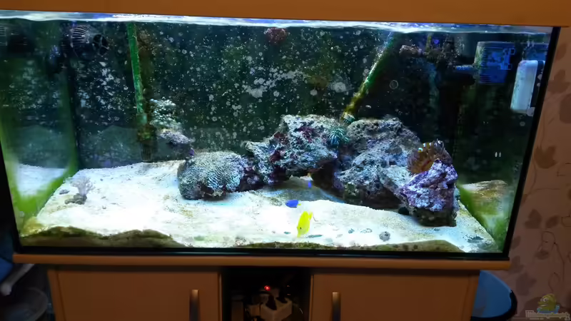 altes AQ von Wiege (3)