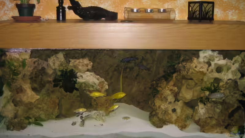 altes Becken verkauft 240 l (Foto als Beispiel) von MuBu (2)