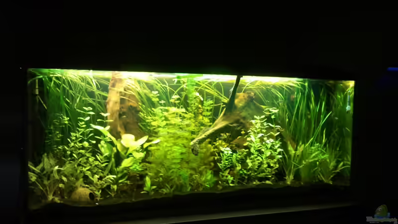 altes Becken von Marc M (5)