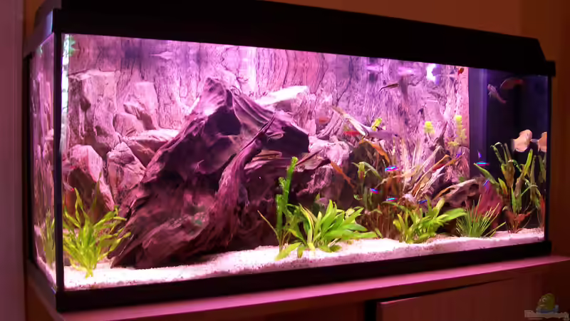 altes Becken von Marcus Egeling (11)