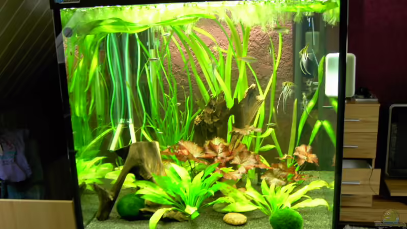 Altes Beispiel von Steffen Schmidt (1)