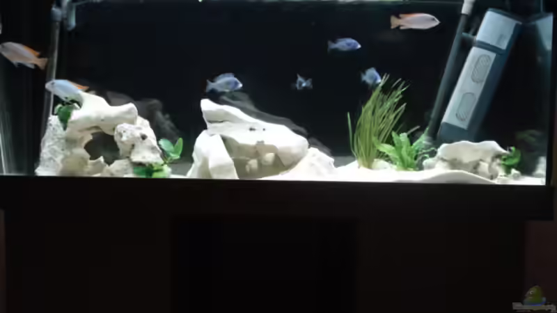 altes Bild  von Jonny84 (2)