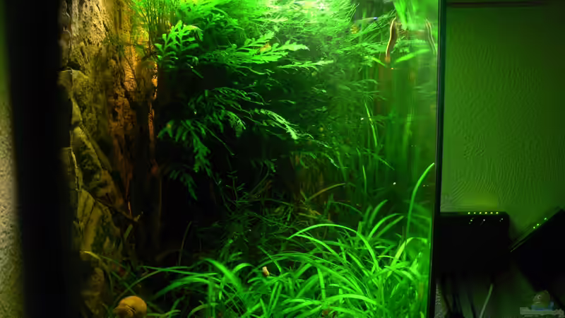 altes Bild von derflo (4)