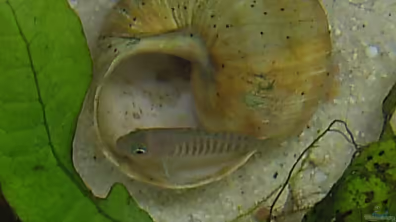 altes Bild von Jenny (20)