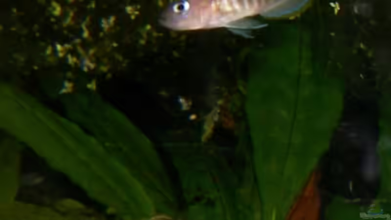 altes Bild von Jenny (23)