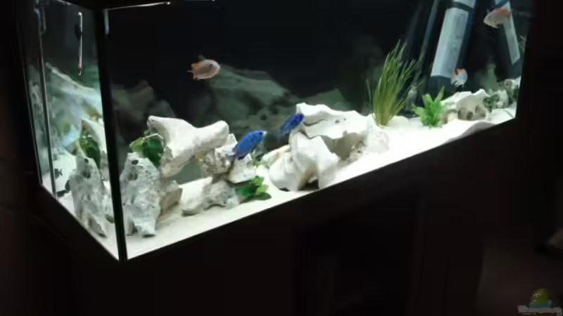 altes Bild von Jonny84 (3)