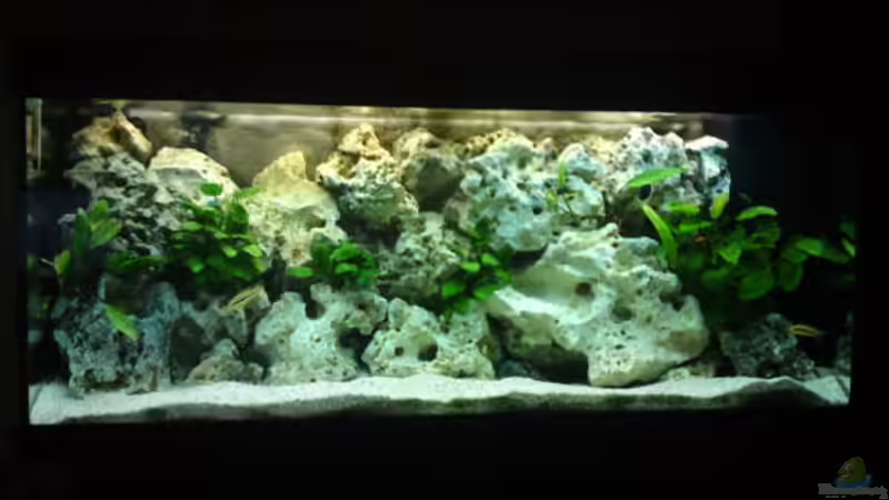 Altes Bils von Strohhut. (5)