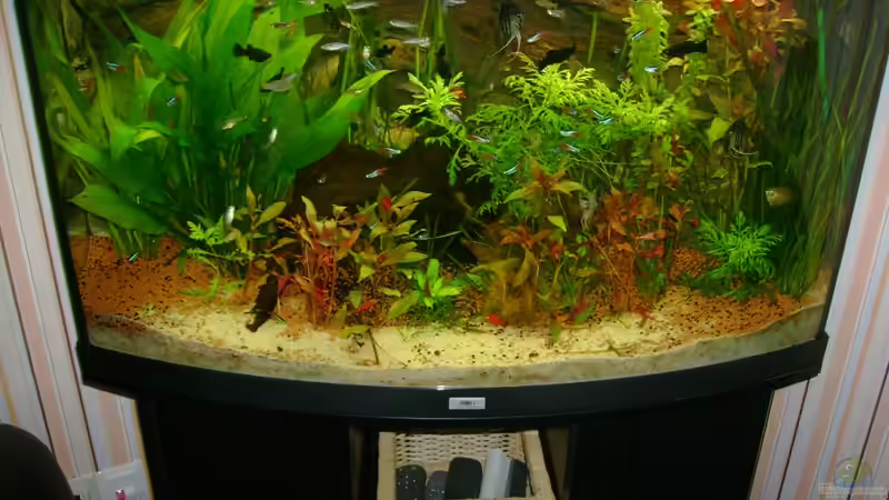 Altes Design 01.11.08 von Robert Bratzig (16)