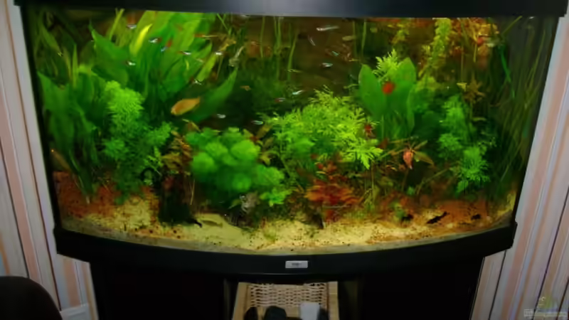 Altes Design 08.11.08 von Robert Bratzig (17)