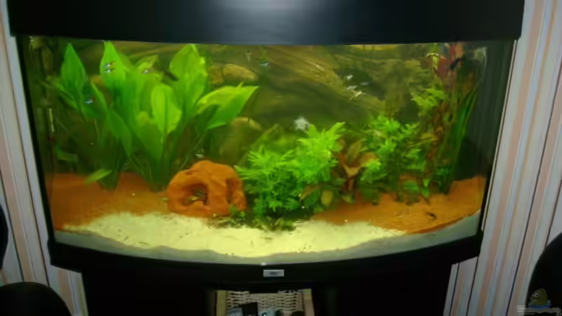 Altes Design 10.08.08 von Robert Bratzig (14)