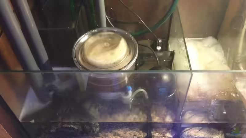 altes Filterbecken von Thomas Schneider (8)