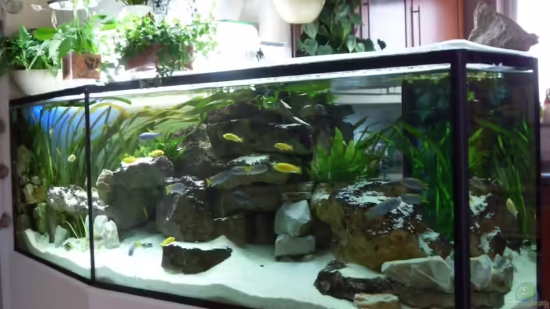 altes Hauptbild 26.4.2010 von Mats (75)