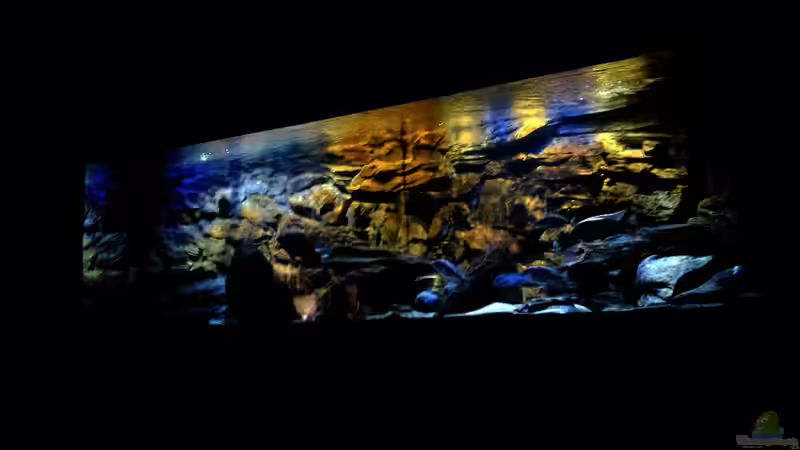 Altes Hauptbild vom 20.11.12 von Lutz K (3)