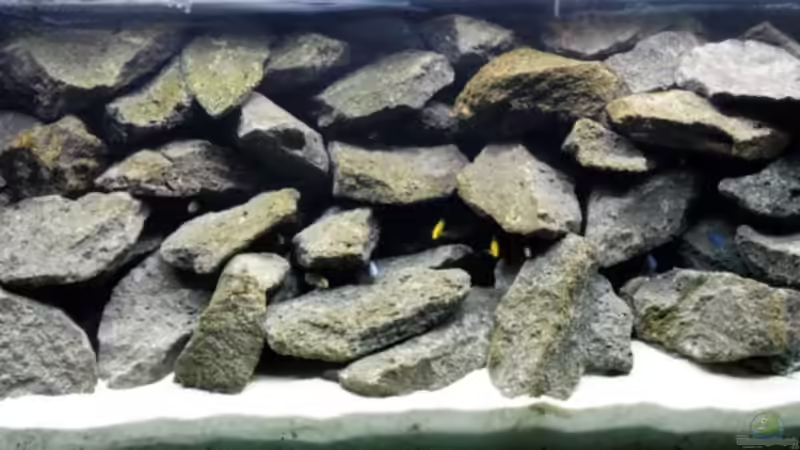 Altes Hauptbild von Felsenjunkie (8)