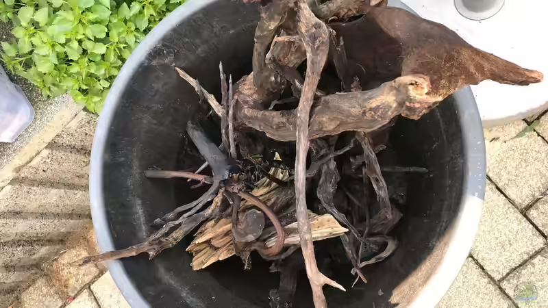 altes Holz von Der Nicky (27)