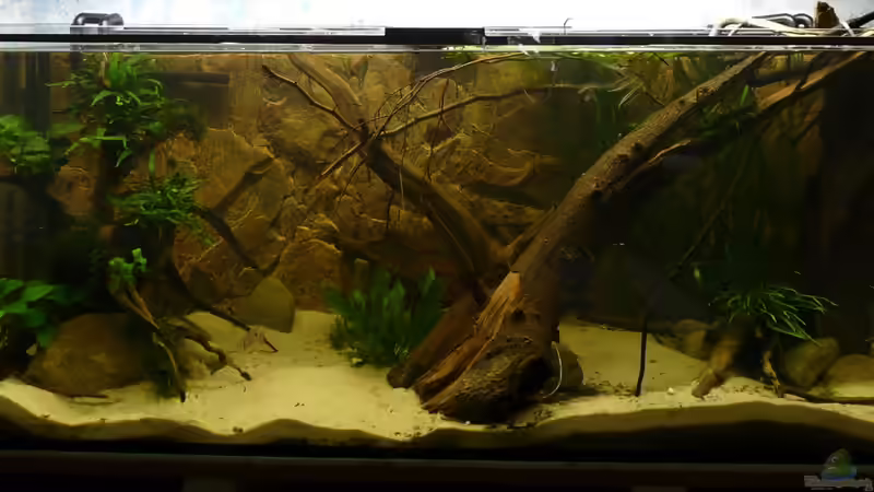 Altes Layout von DerImperator (2)