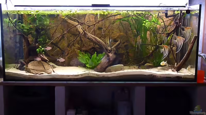 Altes Layout von DerImperator (3)