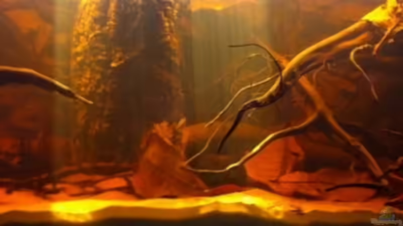 altes Layout von matthiasm (2)