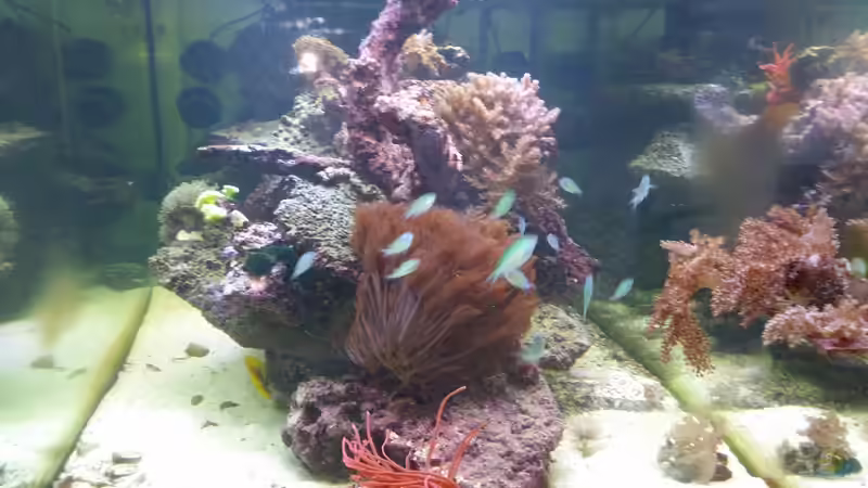 altes Riff von slobe (46)