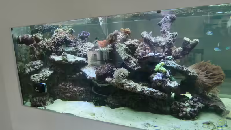 altes Riff von slobe (48)