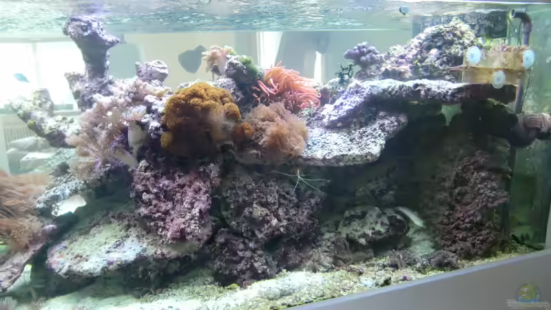 altes Riff von slobe (49)