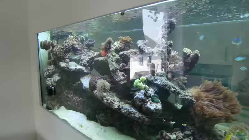 altes Riff von slobe (50)