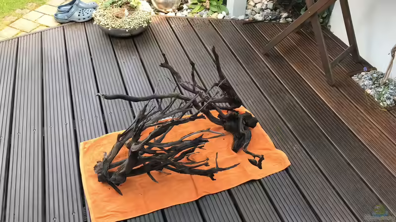 altes Talawaholz zur Wiederverwendung von Der Nicky (25)