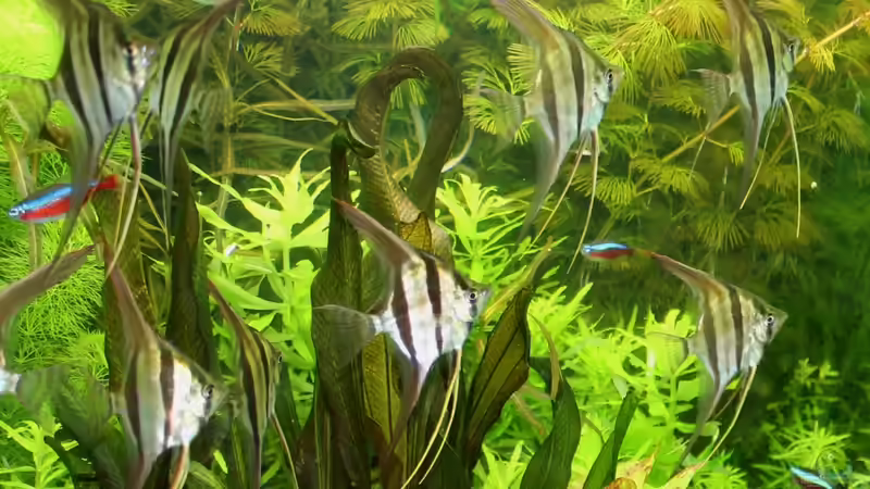 Altum 20120512 von @mazonas (18)