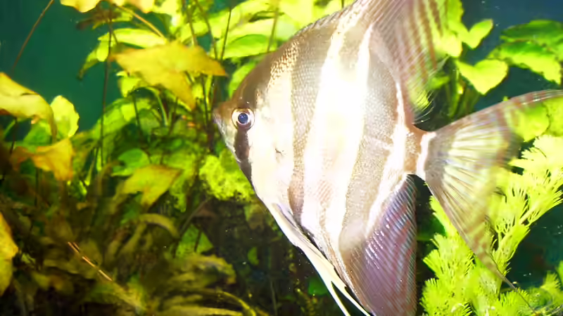 Altum halt von Markus Winkler (3)