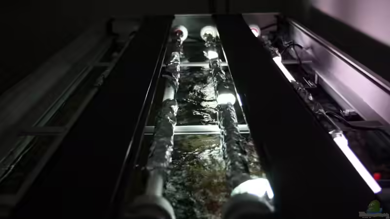 Alu-Kastrierte Leuchtmittel von JörgsMalawis (34)