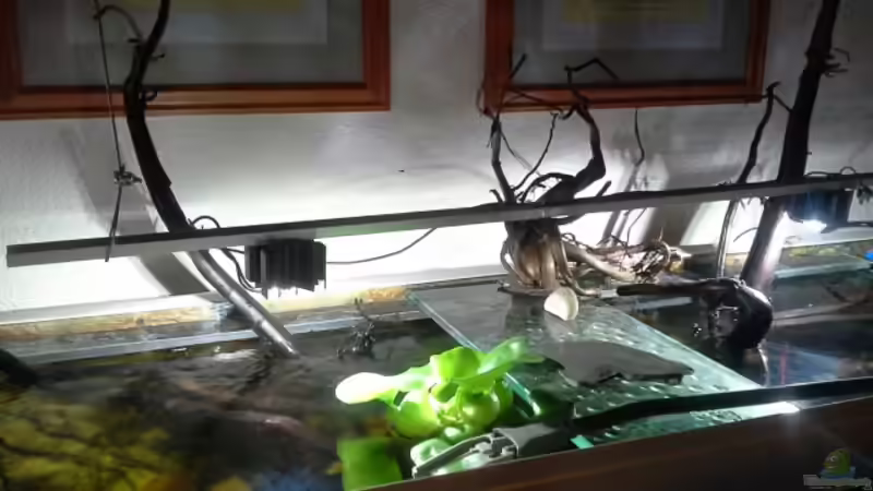 Aluprofil mit Sternkühlkörpern von Markaroni (24)