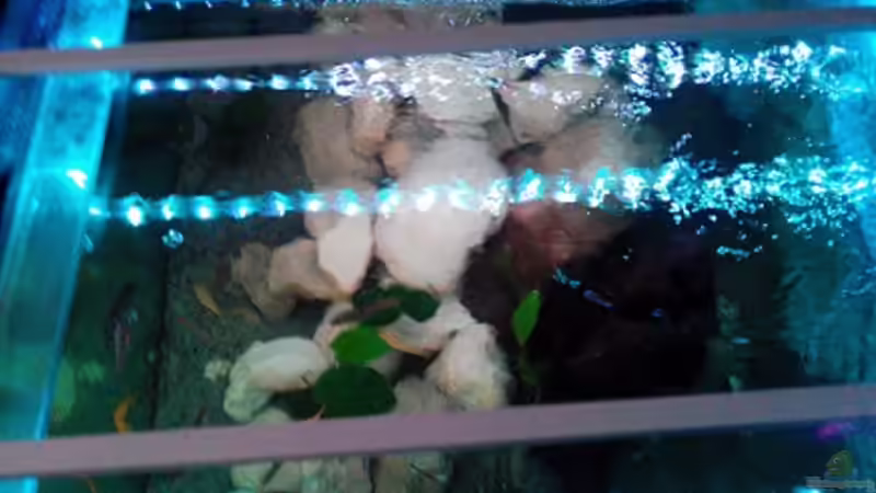 Aluschinen mit den LED Streifen insgesamt 4x 1m, mit dem MS-35 Kontroller von Marcel Wagner (18)