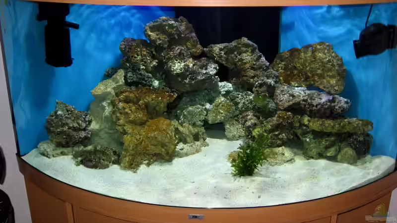 Am  Anfang von Roland Kaltschitz (2)