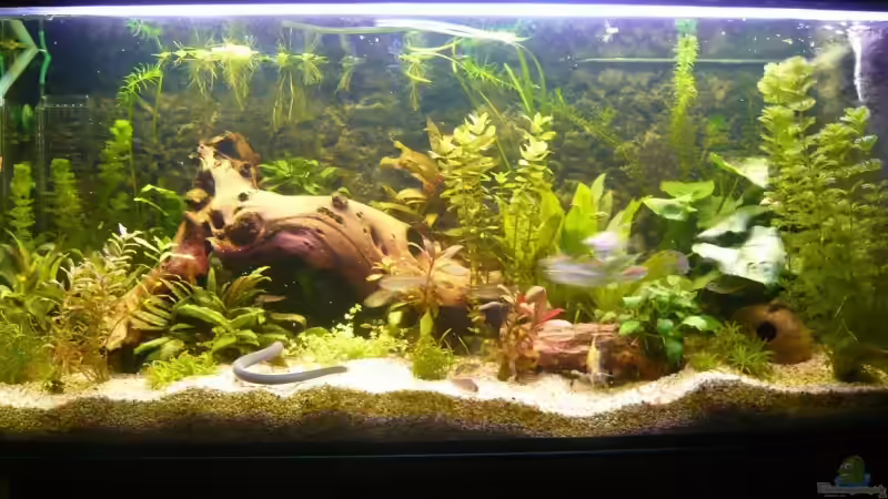 Am 01.04.2008 von Dennis (5)