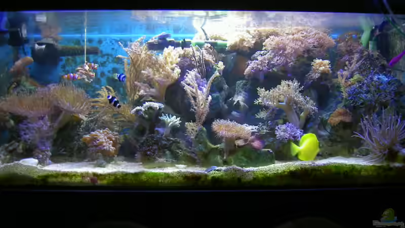 Am 10.November 2007 von Eva Göschl (5)