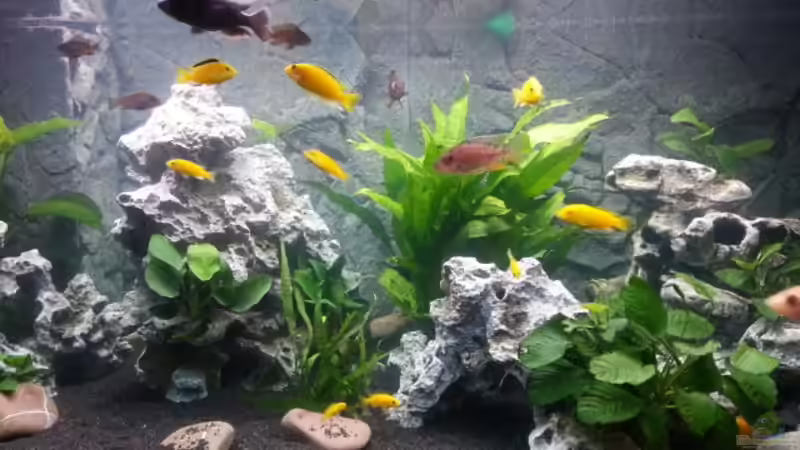 am 11.12.12 von AndiR79 (2)