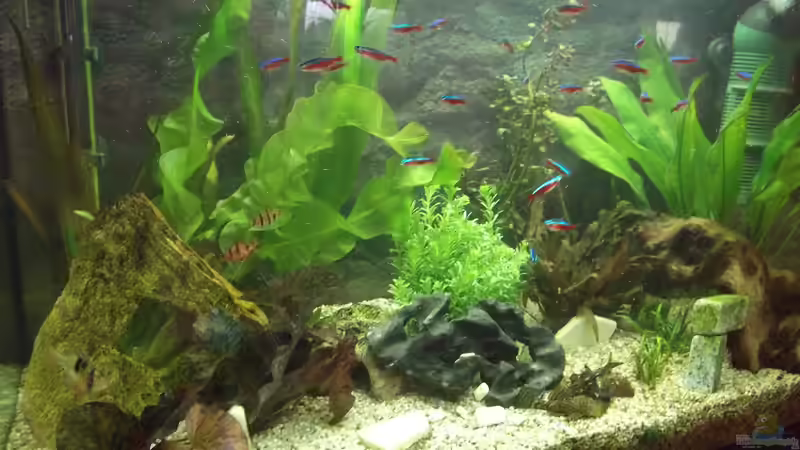 am 15.07.2011 von adina2503 (1)